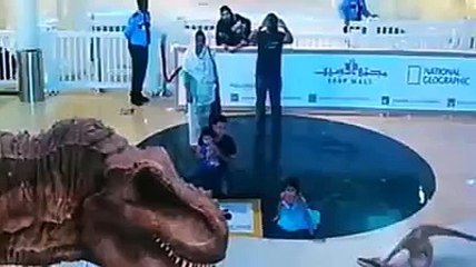 Amazing 3D Laser Show Dubai