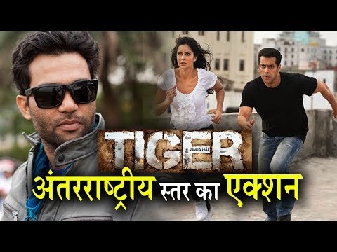 Salman Khan की Tiger Zinda Hai में होगा International Level Action, Ali Abbas Zafar का कहना