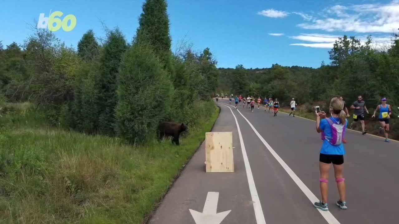 A Bear Makes a Surprise Appearance During Colorado Race