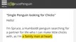 Lonely Penguin Tries to Find Love on 'Plenty of Fish' Dating Website