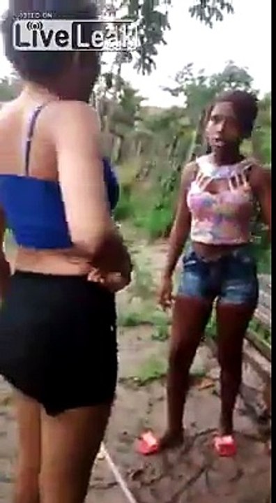 CAT FIGHT