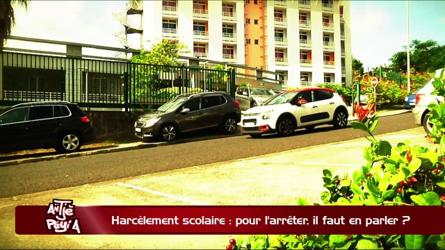 ATPA 21 11 17 HARCELEMENT SCOLAIRE EN PARLER CECILE HUBERT V2 OK