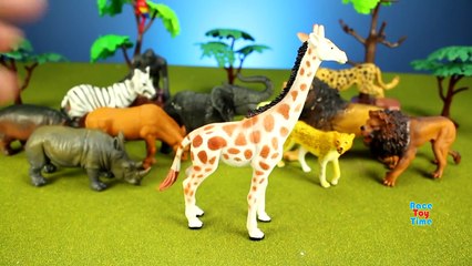 Toy Wild Animals Safari Zoo Collection and Fun Fs For Kids