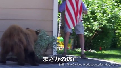 クマと庭で鉢合わせ…ピンチと思いきや