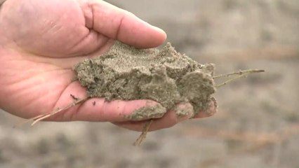 포항 곳곳 액상화 흔적...정부 조사 본격화 / YTN