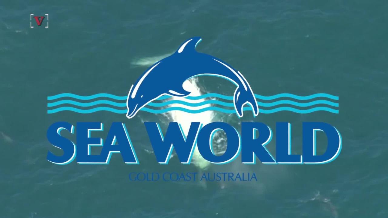 One of the Most Famous Whales in the World Makes Rare Appearance