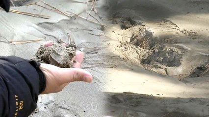 포항 전역 깔린 '이암', 물 만나면 모래로 변해 / YTN