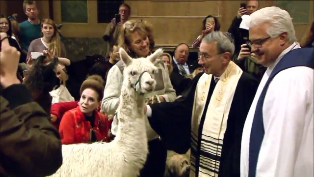 Atheist Group Sues New Jersey Shelter Over Catholic Blessing of Animals