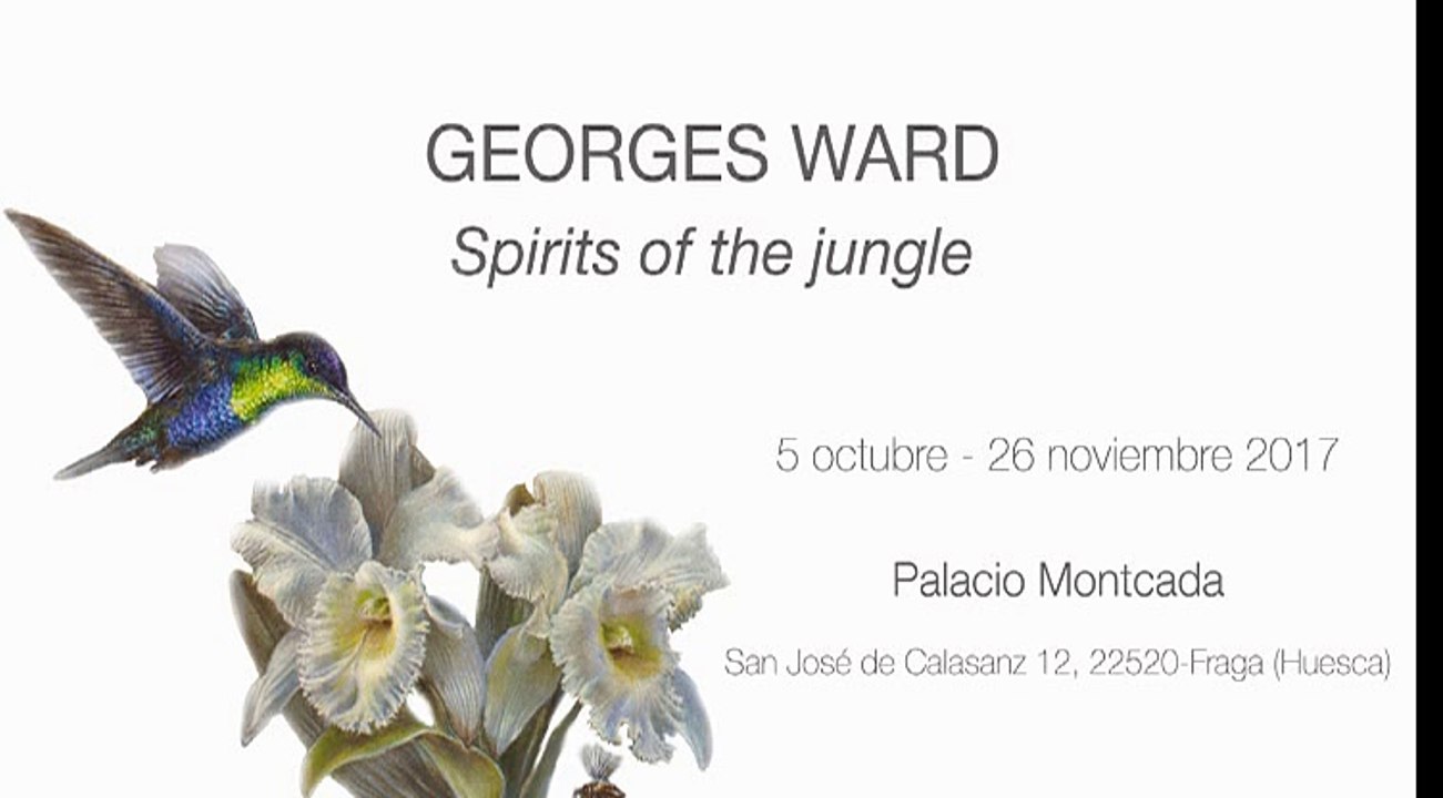 Entrevista de Lucía Aresté a Georges Ward, autor de la exposición Spirits of the jun