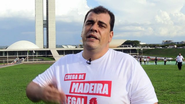 Greenpeace: Brasil exporta madeira 'manchada por homicídios'