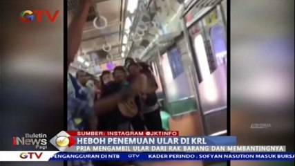 Heboh Penemuan Ular di KRL