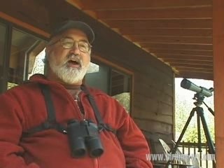 Bird Watching: Bird I Would Like To Be Video