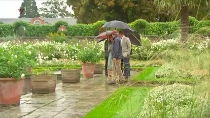 Princes William and Harry Pay Tribute to Their Mother on the Eve of the 20th Anniversary of Her Death