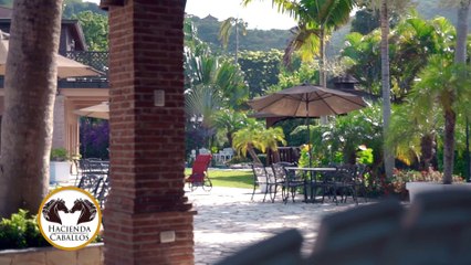  UNA PLACENTERA VISITA A LA HACIENDA LOS CABALLOS ⚫️
