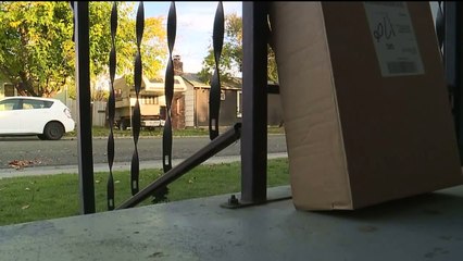 Surveillance Images Show Child Being Used to Steal Package