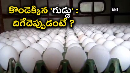 Egg price Hike: Here 3 Reasons మరో ఆరు నెలల వరకు ఇదే పరిస్థితి