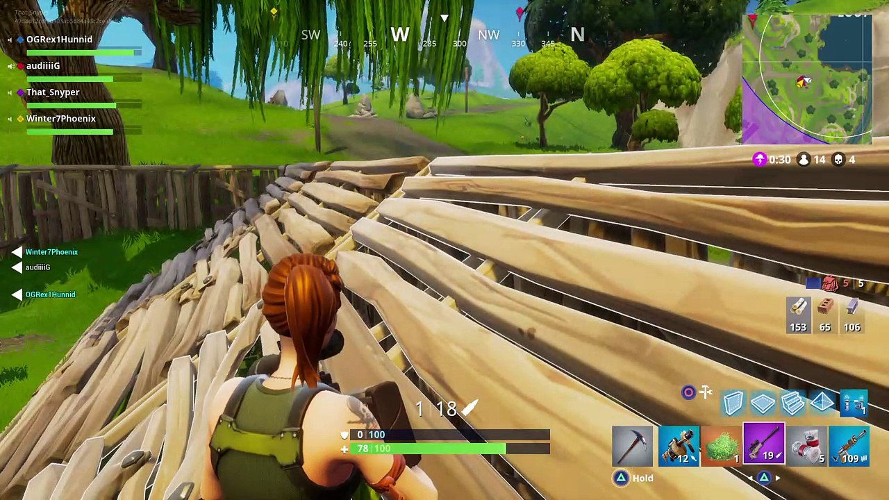 Fortnite_20171119184748