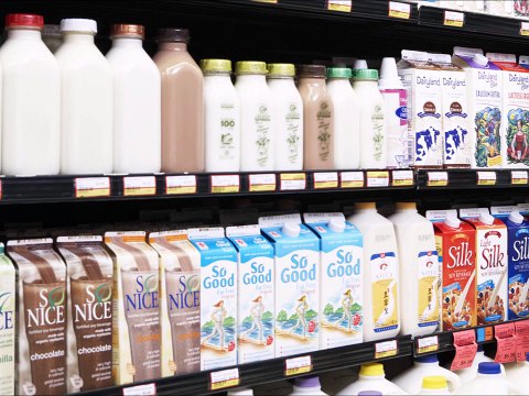 Different types of cows and milks - Vismaya Tutorials