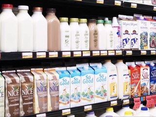 Different types of cows and milks - Vismaya Tutorials