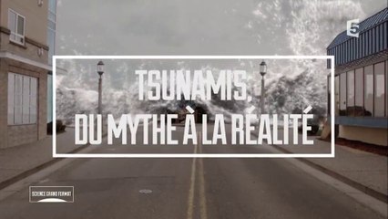 Tsunamis, du mythe à la réalité