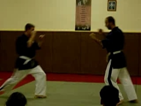 Projection johann (yoseikan Budo)
