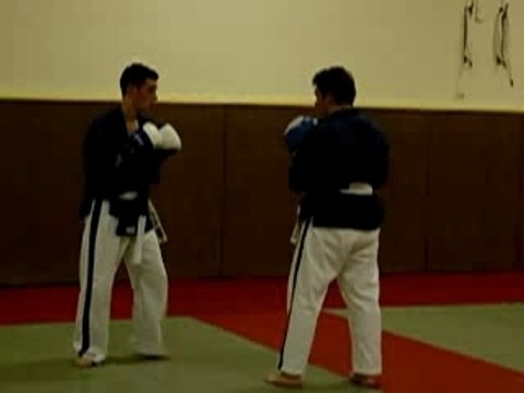 Mathieu projection (yoseikan Budo)