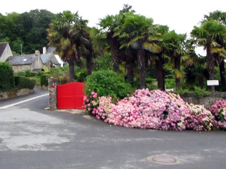 Landévénnec-Fleurs