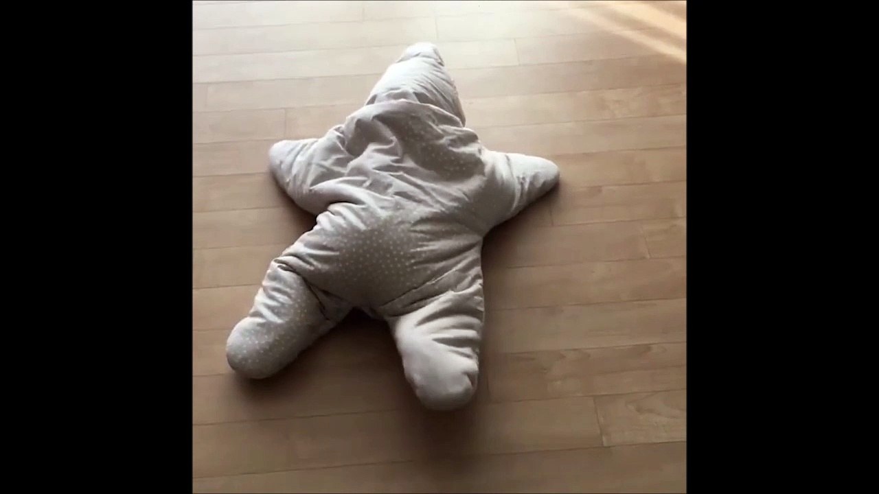 Voilà comment marche une étoile de mer... Ahaha, bébé adorable