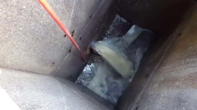 Débouchage d'une bouche d'égout encombrée par des couches... Impressionnant