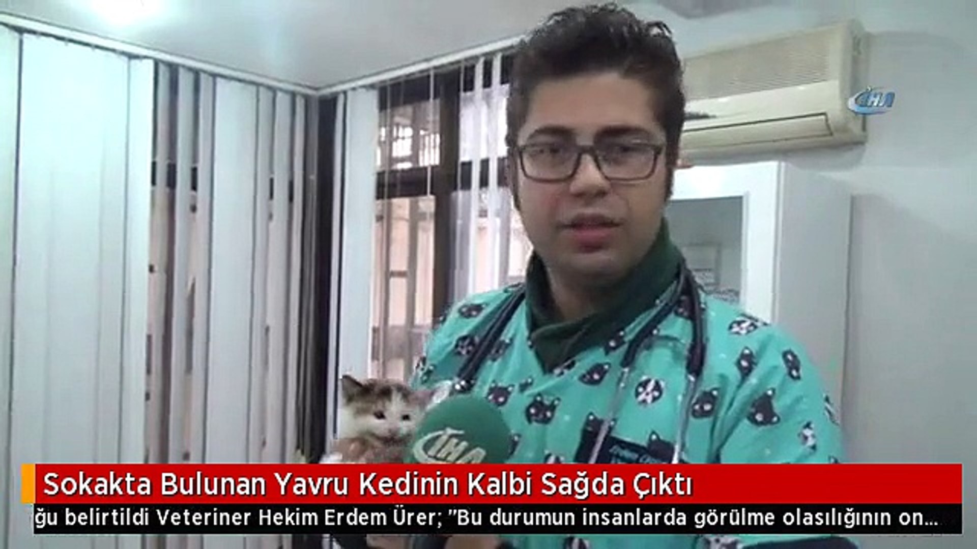 Sokakta Bulunan Yavru Kedinin Kalbi Sagda Cikti Dailymotion Video