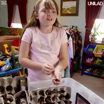 Sốc với cô bé có đam mê sưu tầm và chơi đùa với hơn 7000 con gián