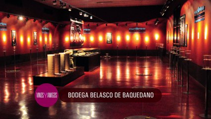 Vinos y Amigos Programa 181 Bloque 2