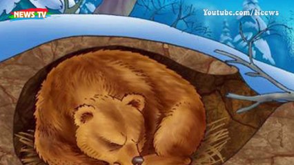 Nghịch lý nạn nhân tự cởi quần áo khi sắp chết cóng