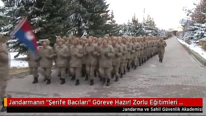 Jandarmanın "Şerife Bacıları" Göreve Hazır! Zorlu Eğitimleri Nefes Kesti