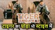 Tiger Zinda Hai से Salman Khan का New Photo आया सामने, Horse Riding करते आए नजर