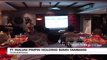 Holding BUMN Tambang Ambil Alih Freeport