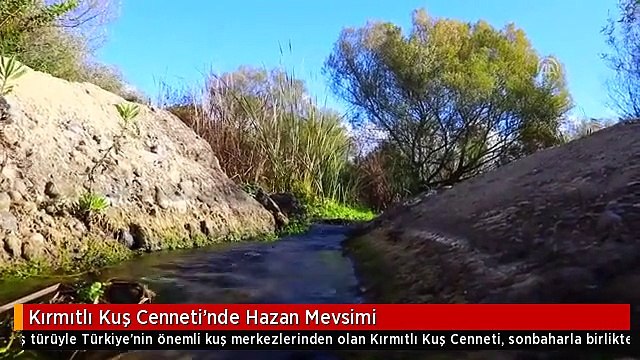 Kırmıtlı Kuş Cenneti'nde Hazan Mevsimi