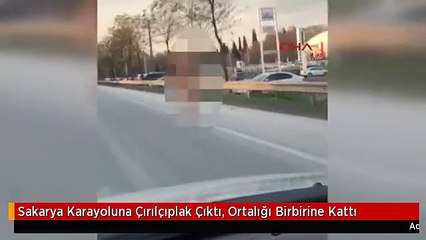 Sakarya Karayoluna Çırılçıplak Çıktı, Ortalığı Birbirine Kattı