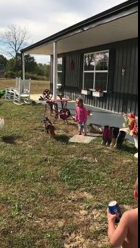 Face au coq cet enfant aide sa soeur à se défendre !! raté !!