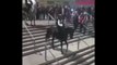 Ejecté par son cheval ce policier de la police montée Espagnole termine en bas des escaliers du stade de Madrid