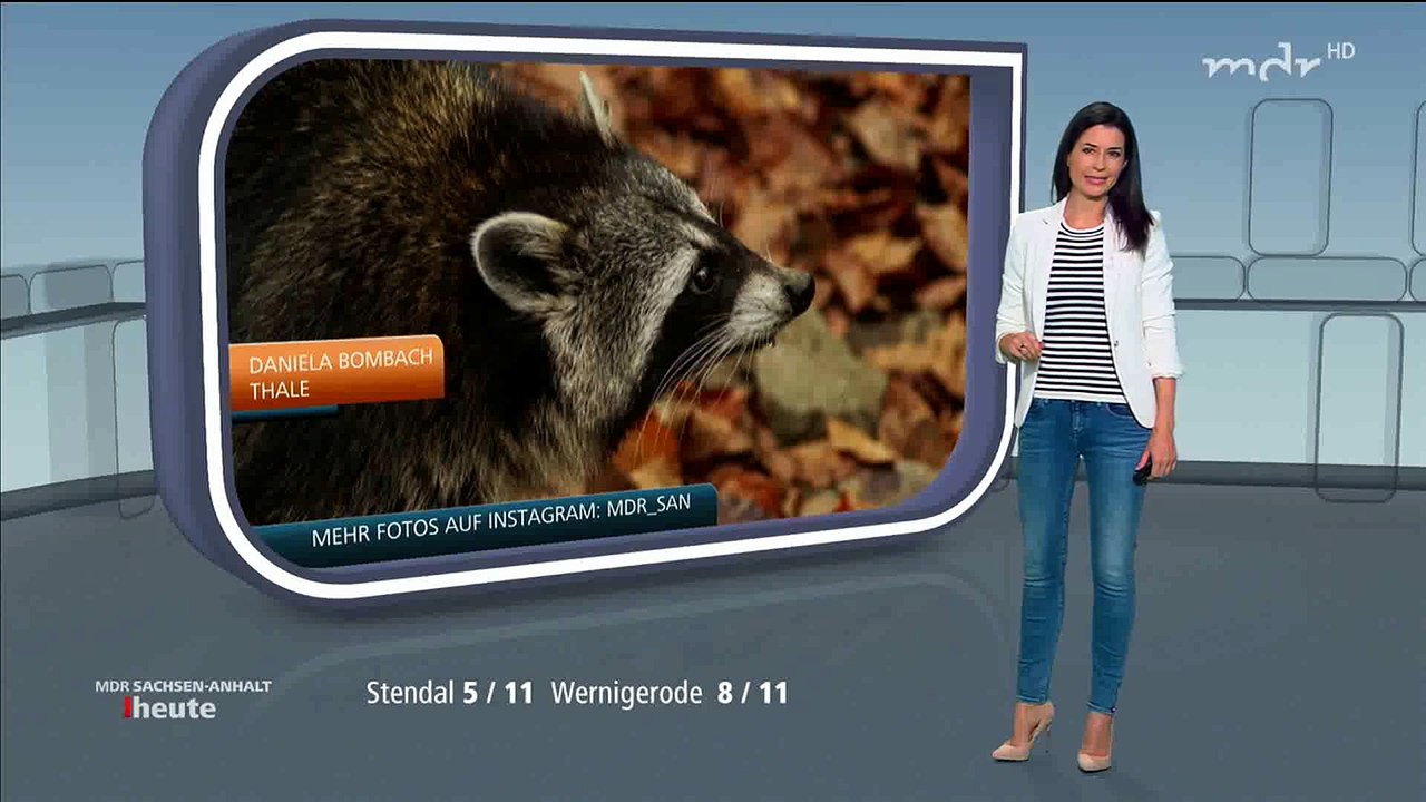 Stephanie Meißner   21.11.2017