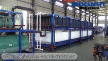 Focusun Block ice machine 30 ton per day (Direct System)