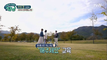 강아지 전문가 설채연이 알려주는 ′해주세요′ 교육법!