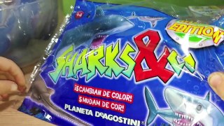 Tiburones Sharks & Co.