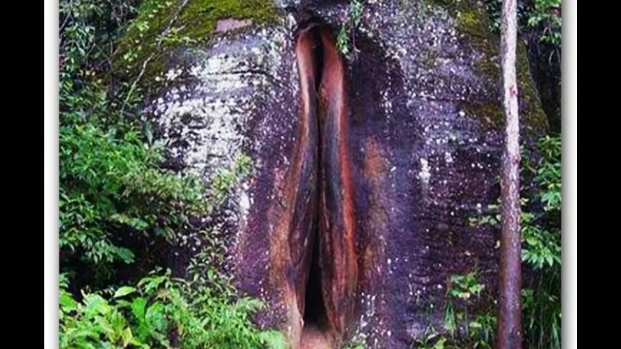 Different Types of Penis Vs Vagina