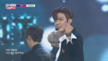 Show Champion EP.253 IN2IT - Amazing [인투잇 - 어메이징]