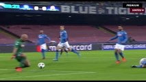 Napoli vs Shakhtar Donetsk 3-0 - Highlights & Goals  - 21 November 2017