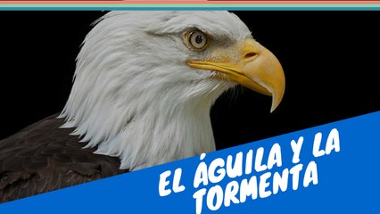 El águila en la Tormenta, Reflexion sobre el caracter