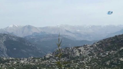 Aydın Özgüven: "Genç Nüfusun Köyden Gitmemesi İçin Daha Çok Yatırım Yapılmalı"