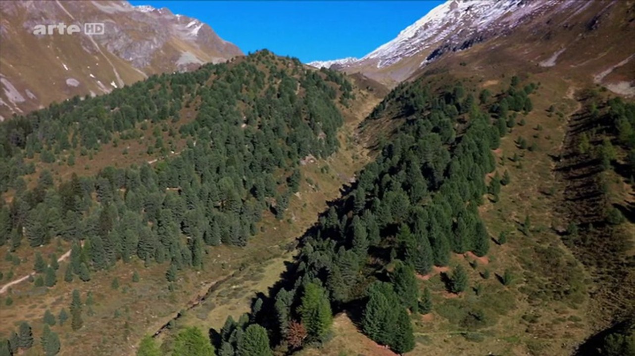 Zu Tisch in Graubünden (Schweizer Alpen) - Traditionelle Gerichte